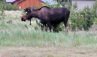 94 Mountainwood Ln, Anaconda, MT 59711