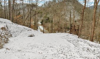 226 Briar Fork Rd, Bean Station, TN 37708