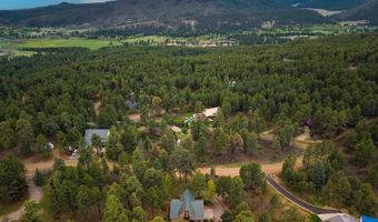 197 Buckhorn Rd, Bayfield, CO 81122