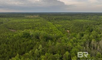 Flowers Road, Bay Minette, AL 36507