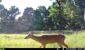 71 8 Klondike Rd, Anderson, MO 64831