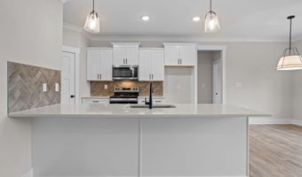 7507 Squirrel Den Rd, Bailey, NC 27807