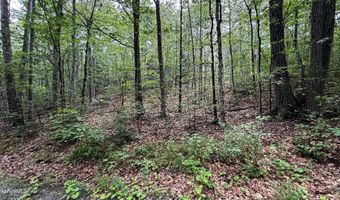 Moberg Rd lot 76, Becket, MA 01223