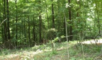8 63ac Gravely Hill Rd, Bethpage, TN 37022