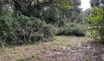 3325 GOLDEN GEM Rd, Apopka, FL 32712