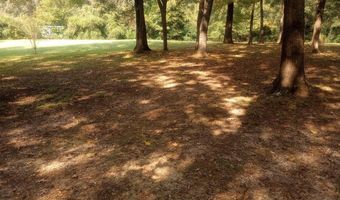 1333 GUY Ave, Bastrop, LA 71220