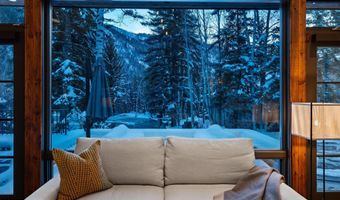 1345 Mayflower Ct, Aspen, CO 81611