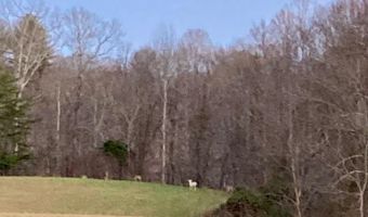 1235 Long Branch-Land, Beattyville, KY 41311