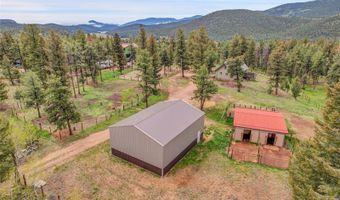 64 Elk Horn Ct, Bailey, CO 80421