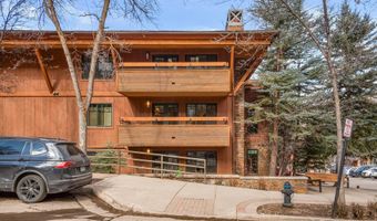747 S Galena St 230 & 330, Aspen, CO 81611