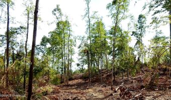 590 County Road 247, Bruce, MS 38915