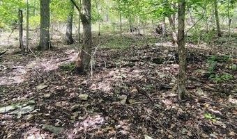 Farm Road 1245, Aurora, MO 65605