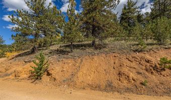 103 Gross Rd, Bailey, CO 80421