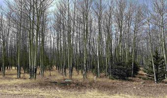 El Camino Real, Angel Fire, NM 87710