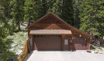 62 Lazy Rex Rd, Alma, CO 80440