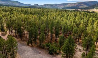 Tbd CR2325, Alpine, AZ 85920