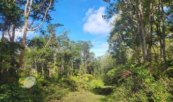 ABOVE MAMALAHOA, Captain Cook, HI 96704