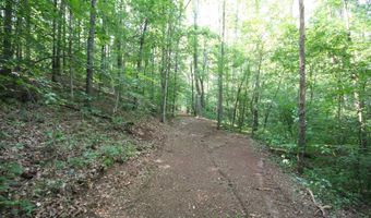 TBA BETTYS BRANCH RD X, Arvonia, VA 23004