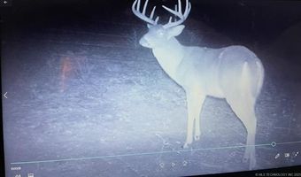 Mayes, Adair, OK 74330