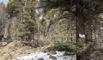 1116 El Camino Real, Angel Fire, NM 87710