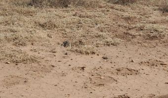 Lot 52 Juniperwood Ranch, Ash Fork, AZ 86320