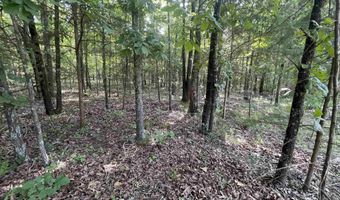 743 The Day Rd, Ash Flat, AR 72513