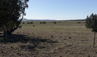 Juniperwood Ranch lot 52, Ash Fork, AZ 86320