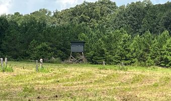 TBD County Road 40, Abbeville, AL 36310