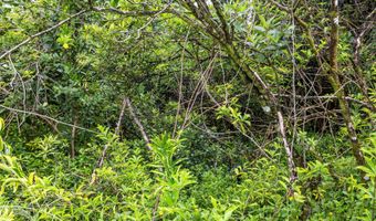 PARADISE DR, Keaau, HI 96749