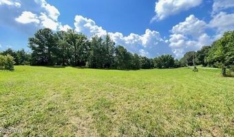3945 Old Trezevant Rd, Atwood, TN 38220