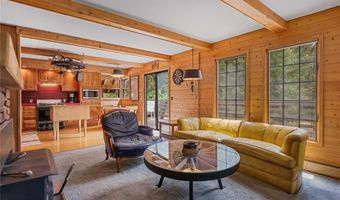 212 Briar Rose Ln, Breckenridge, CO 80424