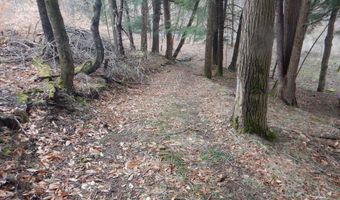 County Route 16, Angelica, NY 14709