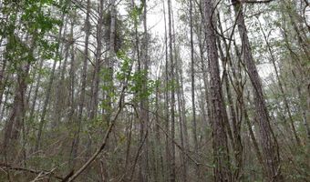 TBD Hwy. 29, Brooklyn, MS 39425