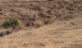 2 Rough Rd, Acton, CA 93550