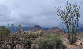 2624 S Gold Mine Rd, Yucca, AZ 86438