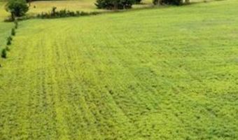8 46 Acres Coon Rock Rd, Arena, WI 53503