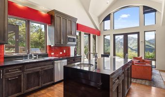 1682 Red Mountain Rd, Aspen, CO 81611