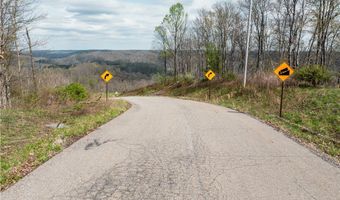 E Captina Highway Road, Alledonia, OH 43902