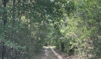 80 AC Old River Rd, Baker, FL 32531