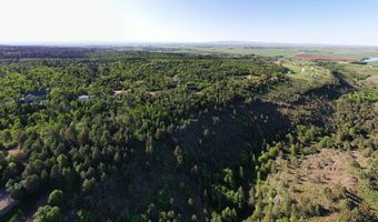 1703 Mountain Laurel Dr, Ashton, ID 83420