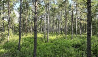 0 Hwy 14, Aliceville, AL 35442
