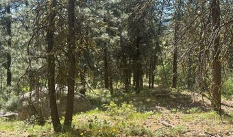 L16 B1 Lantern Way lot 16, Cascade, ID 83611
