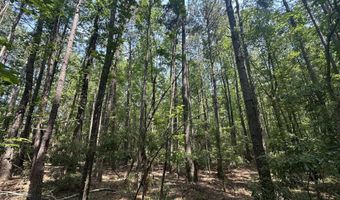 Ridge Road lot E, Appling, GA 30802