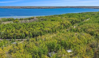 10046 Rogers Rd, Alanson, MI 49706