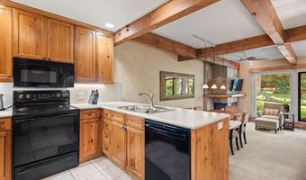 610 S West End St D105, Aspen, CO 81611