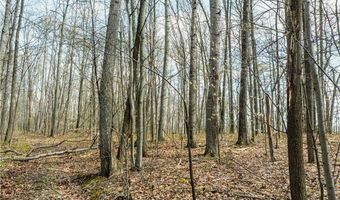 E Captina Highway Road, Alledonia, OH 43902