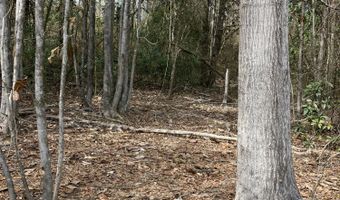 0 Graves Keys Rd, Bassfield, MS 39421