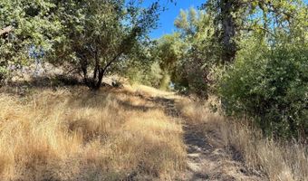41902 Woodward Way, Ahwahnee, CA 93601