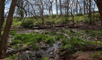 006 County Road 14, Aldrich, MO 65601