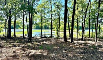 32 Lakepoint Dr, Fort Gaines, GA 39851